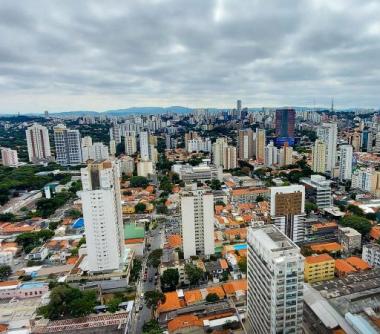 Paisagem de pinheiros 