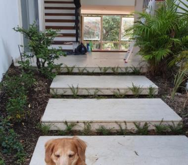 Imagem imóvel Casa - Jardim Guedala - São Paulo